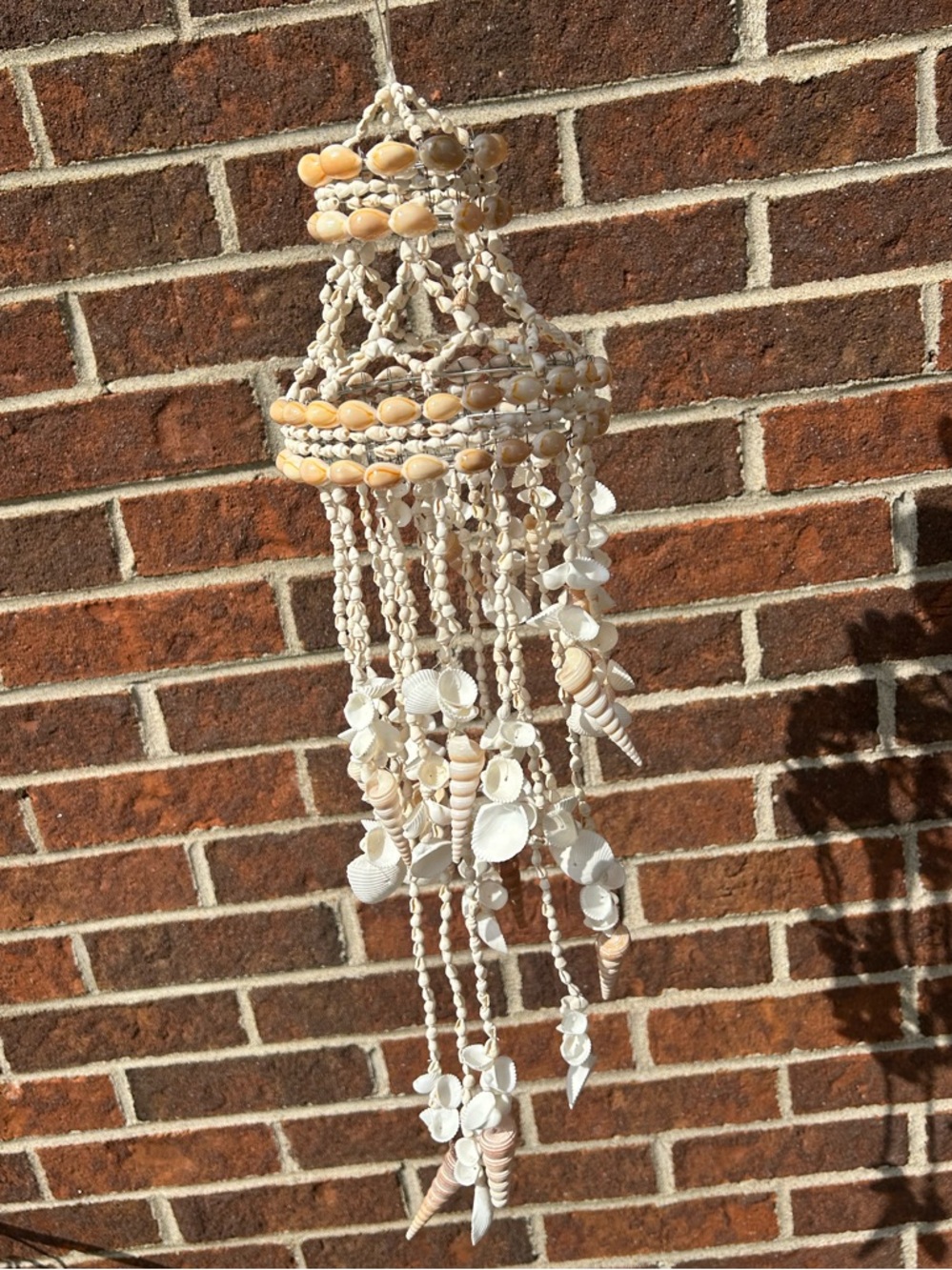 Shell chandelier - Picture 3 of 16